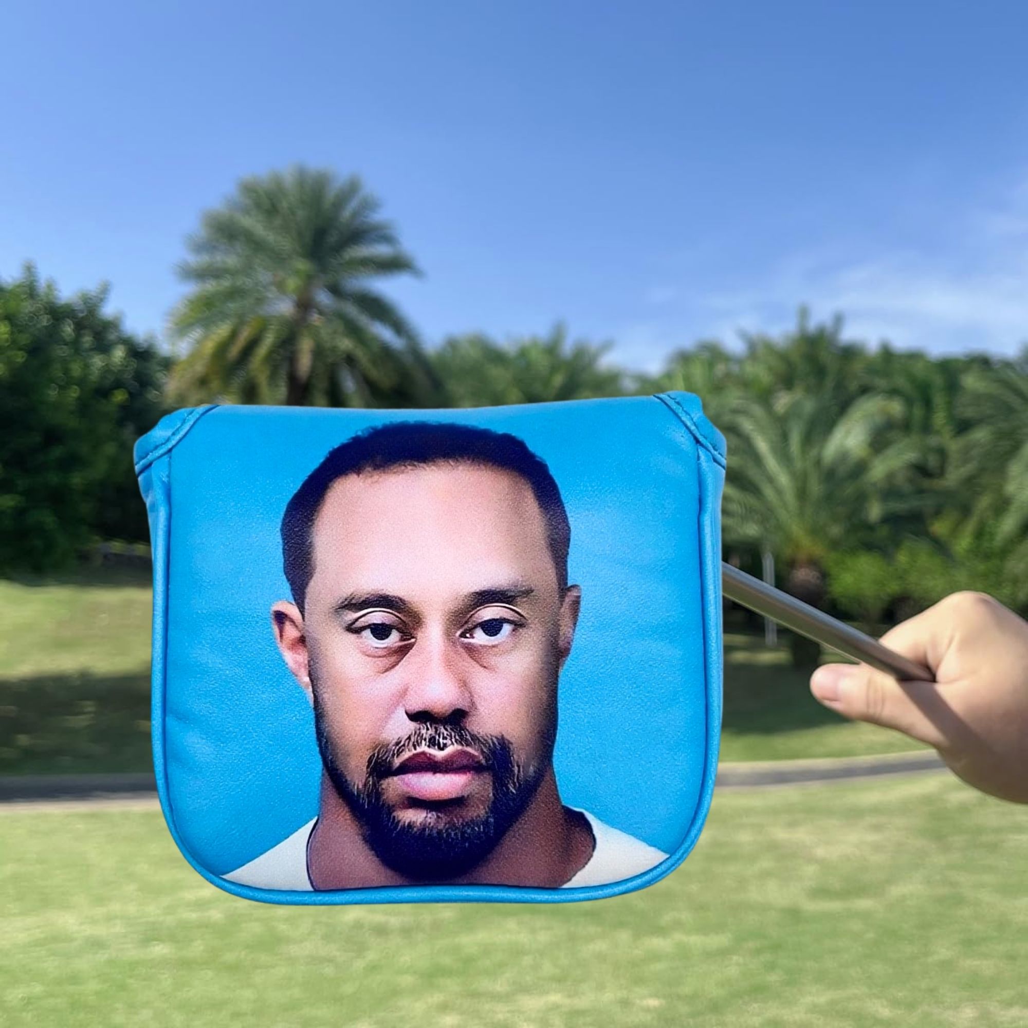 Funny Golf Mallet Putter Head  - огляд і ціна Men Accessories Usa